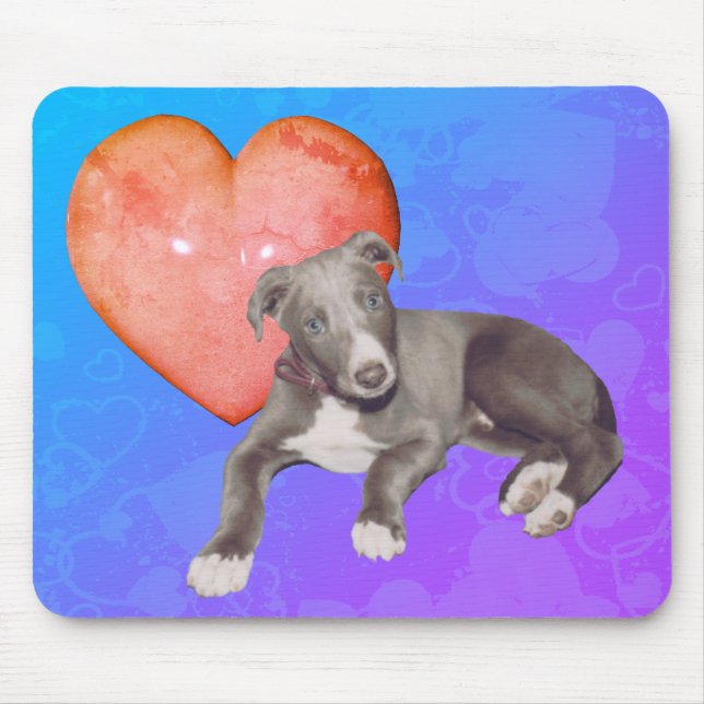 Blue Greyhound Puppy Rosa Heart Musmatta (Framsidan)