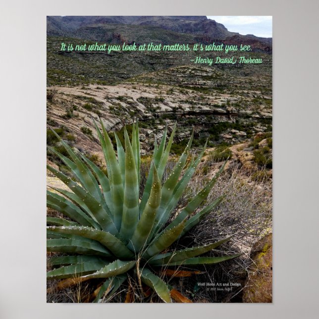 Blue Grönt Agave Plant i Desert Mountains Arizona Poster (Framsidan)