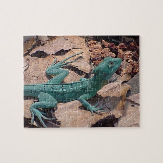 Blue Grönt Lizard Puzzle Pussel (Horisontell)