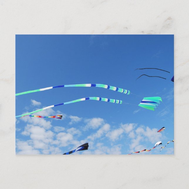 Blue Grönt Long Svan Kite Vykort (Framsida)