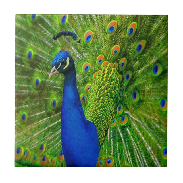 BLUE & GRÖNT PEACOCK CERAMIC TILE KAKELPLATTA (Framsidan)