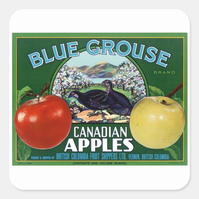 Blue Grouse Canadian Apples Fyrkantigt Klistermärke (Framsida)