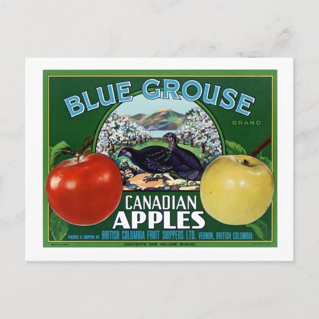Blue Grouse Canadian Apples Vykort (Framsida)