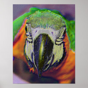 Blue Guld Macaw Ansikte Parrot Fantasy Art Poster