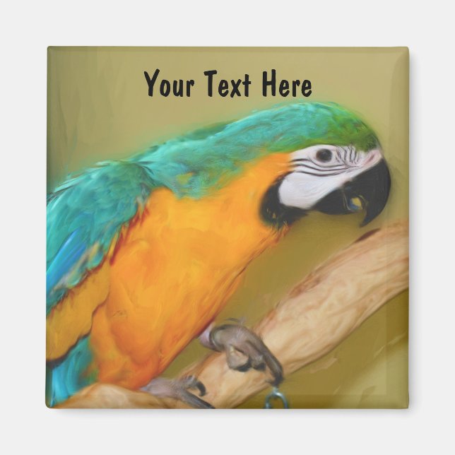 Blue Guld Macaw Parrot Animal Magnet (Framsidan)