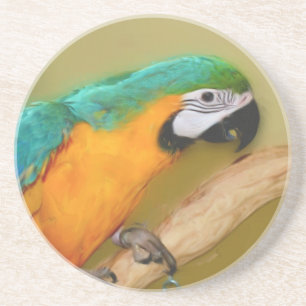 Blue Guld Macaw Parrot Animal Underlägg Sandsten