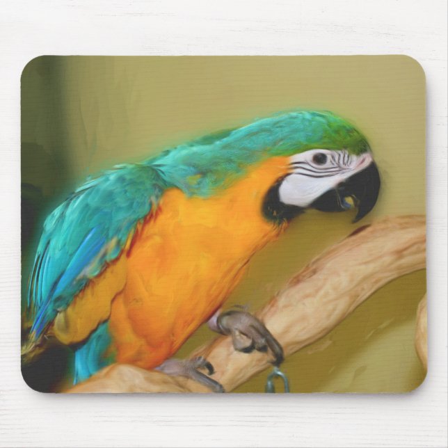 Blue Guld Macaw Parrot Paroting Animal Art Musmatta (Framsidan)