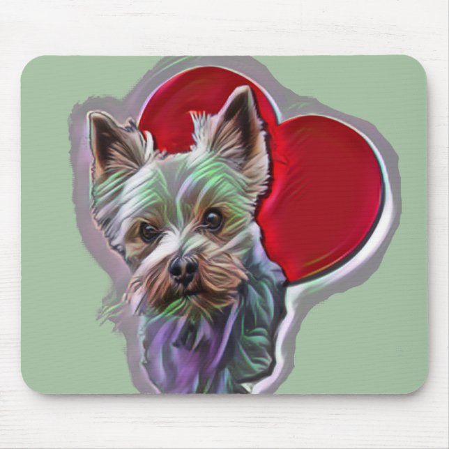 Blue Guld Yorkshire Yorkie Terrier Musmatta (Framsidan)