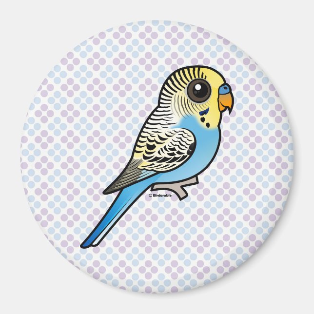 Blue & Gult Budgie Magnet (Framsidan)