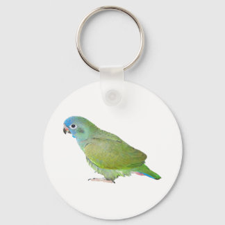 Blue Head Pionus Parrot Nyckelring