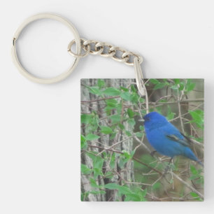 Blue Heaven Metall Skriv ut
