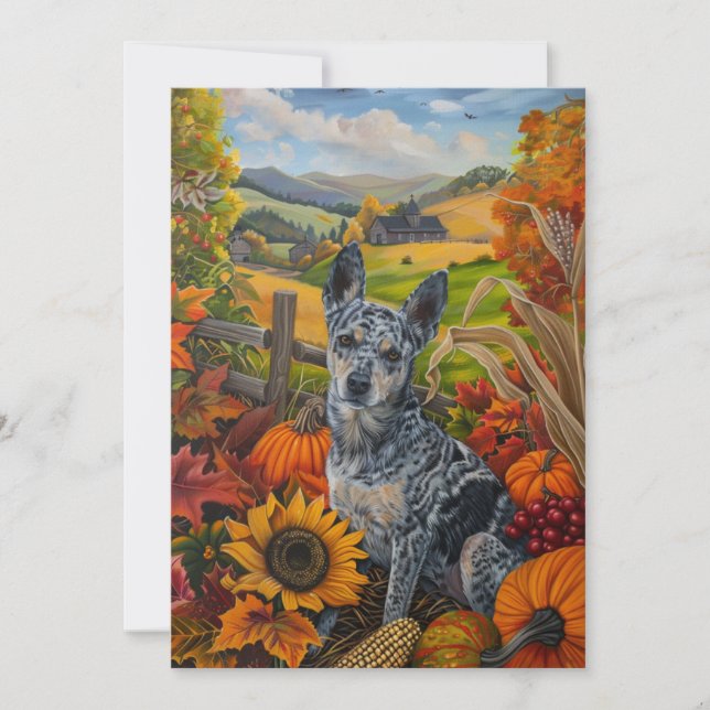 Blue Heeler Hund Autumn Harvest Thanksgiving Julkort (Framsida)