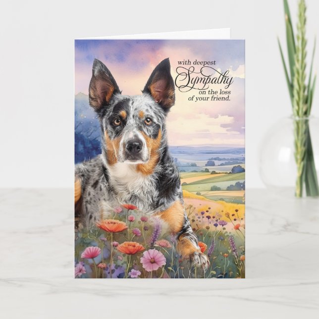 Blue Heeler Hund Fält från Wildblommor Pet Sympath Kort (Framsida)
