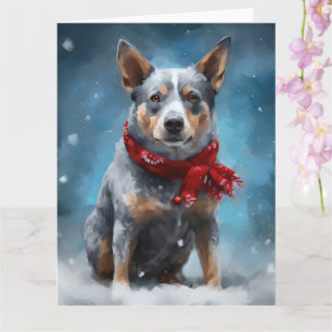 Blue Heeler Hund i julen i Snö Kort