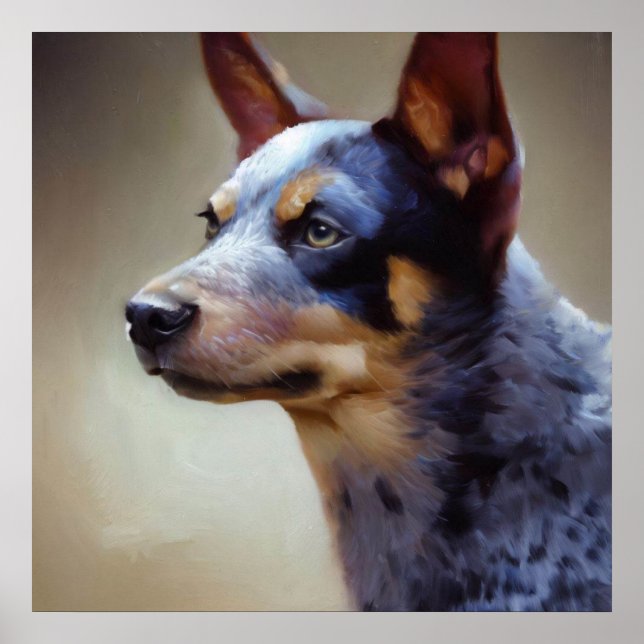 Blue Heeler Hund Poster (Framsidan)