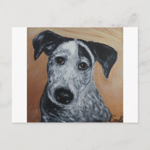 Blue Heeler Labrador Puppy Painting Vykort
