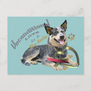 Blue Heeler Ovillkorlig Kärlek Vykort