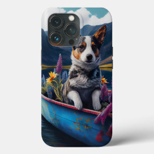 Blue Heeler på en Paddle: En Scenia Äventyr