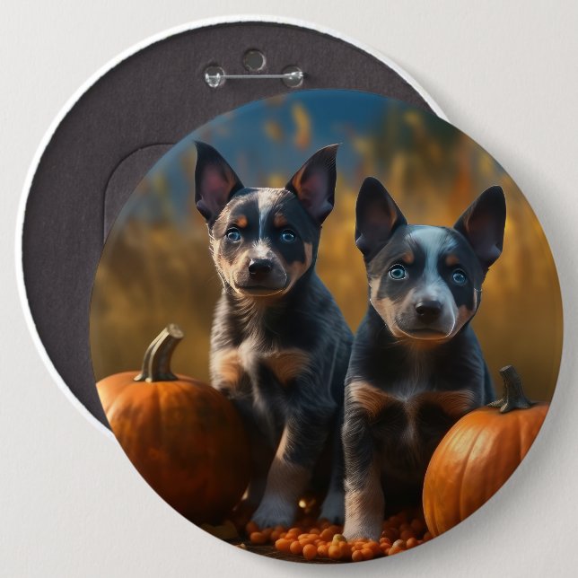 Blue Heeler-valp Höstglädje Pumpa Knapp (Framsida & baksida)