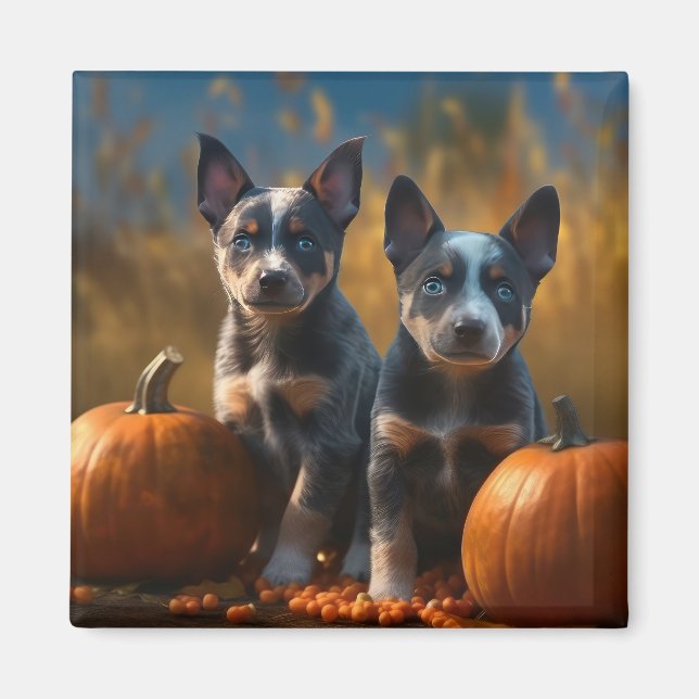 Blue Heeler Valp Höstglädje Pumpa Magnet (Framsidan)