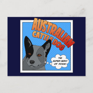 Blue Heeler Vykort