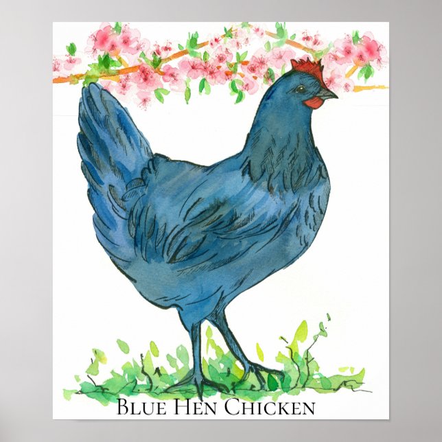 Blue Hen Chicken State Bird of Delaware Poster (Framsidan)