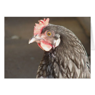 Blue Hen Hälsningskort