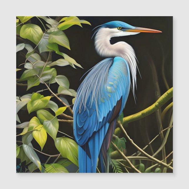 Blue Heron (Framsida)