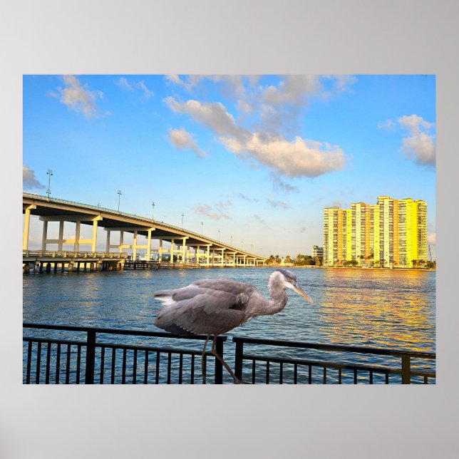 Blue Heron Bridge. Riviera Beach. Florida Poster (Framsidan)