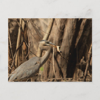 BLUE HERON EATOR VYKORT