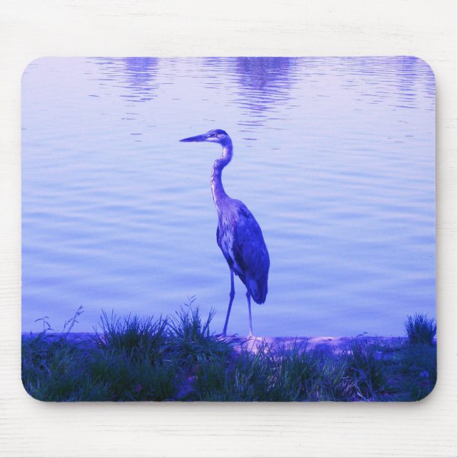 Blue Heron Egret Musmatta (Framsidan)