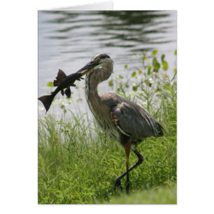 BLUE HERON HÄLSNINGSKORT