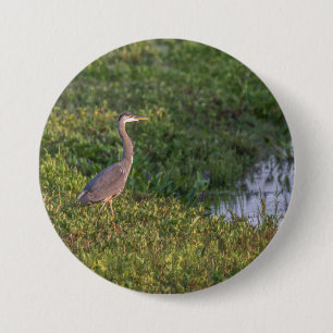 Blue Heron Knapp