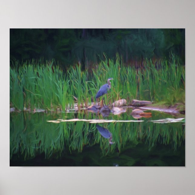 Blue Heron Nature Photo Painting Poster (Framsidan)