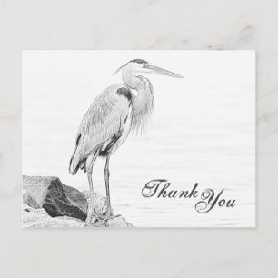 Blue Heron och Sten, Vatten Bird Sketch Tack Vykort