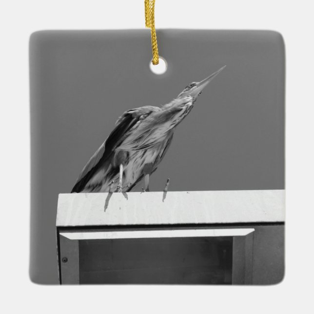 Blue Heron Ornament (Framsida)