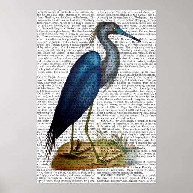 Blue Heron Poster (Framsidan)