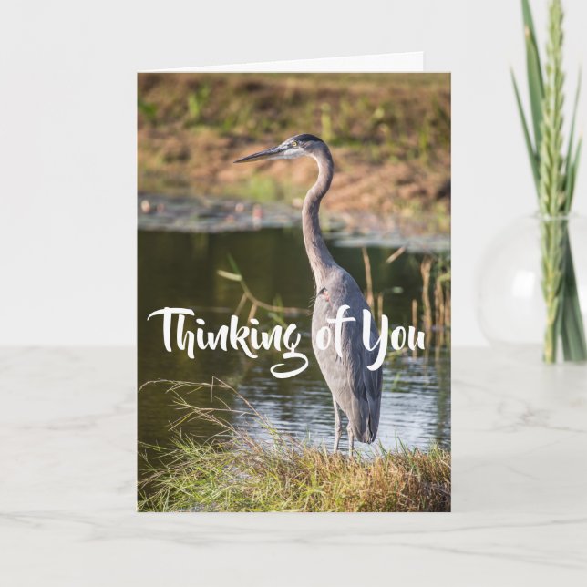 Blue Heron Thinking of You Kort (Framsida)