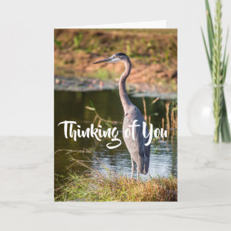 Blue Heron Thinking of You Kort