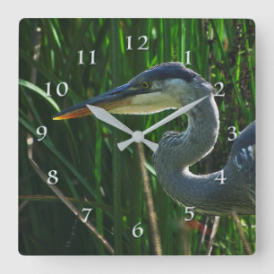 Blue Heron Tidigt Bird Hunter Fyrkantig Klocka
