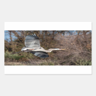 Blue Heron under flygning Rektangulärt Klistermärke