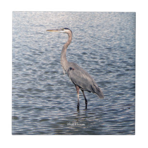 Blue Heron vatten Kakelplatta