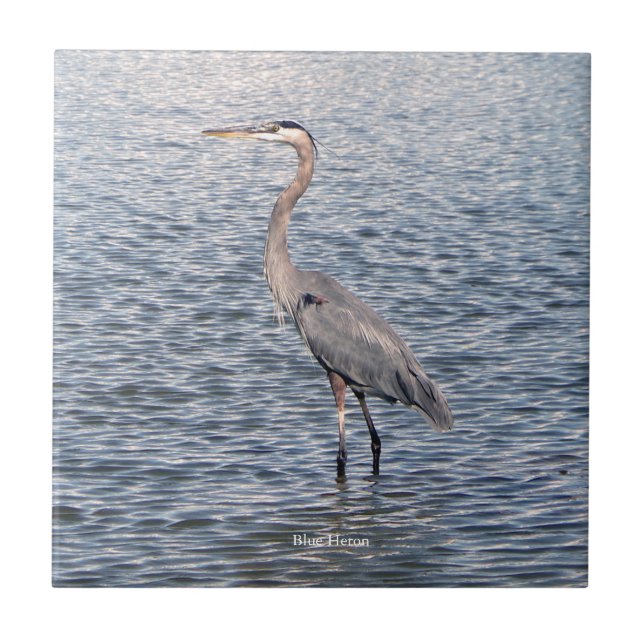 Blue Heron vatten Kakelplatta (Framsidan)