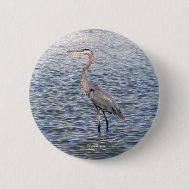 Blue Heron vatten, knapp