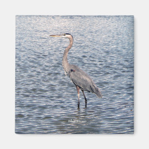 Blue Heron vatten magnet
