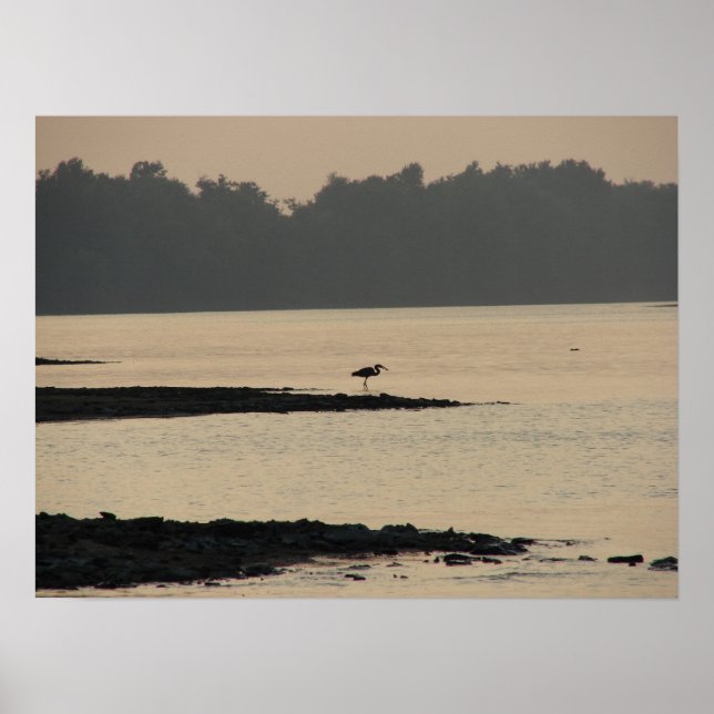 Blue Heron vid floden Mississippi vid Sunset Poster (Framsidan)