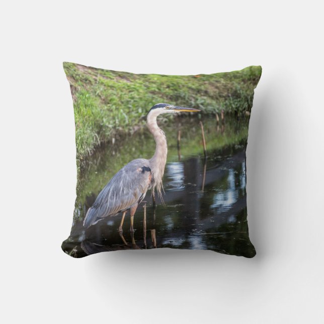 Blue Heron Wading i Vatten Kudde (Framsida)