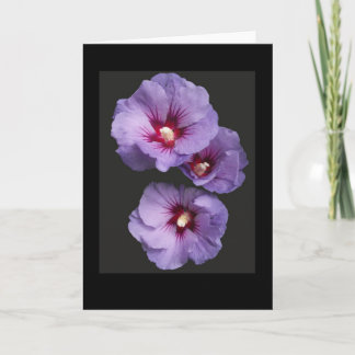 Blue Hibiscus Hälsning Card Kort