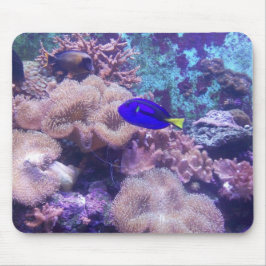 "Blue Hippo Tang Oasis" Mouse Pad Musmatta