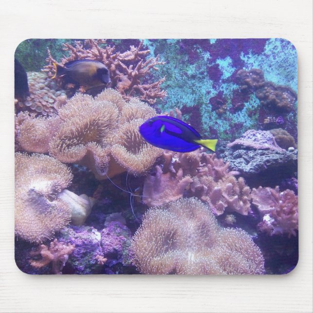 "Blue Hippo Tang Oasis" Mouse Pad Musmatta (Framsidan)
